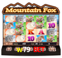 Daily Bonuses w79 bet